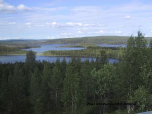 Skogsutsikt från Buddhastatyn utanför Fredrika